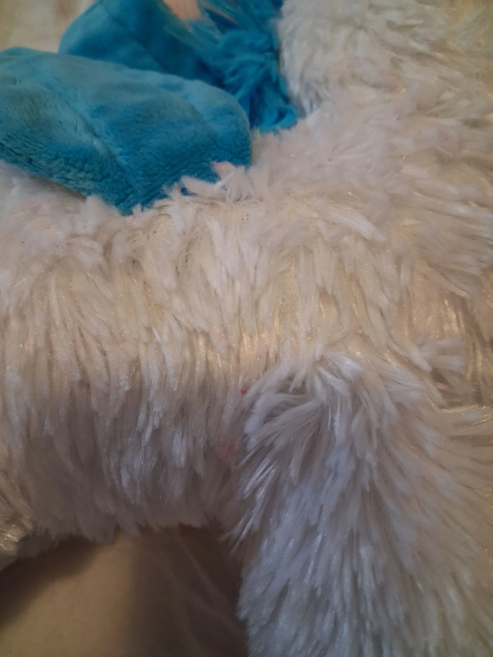 Peluche de unicornio – photo 2